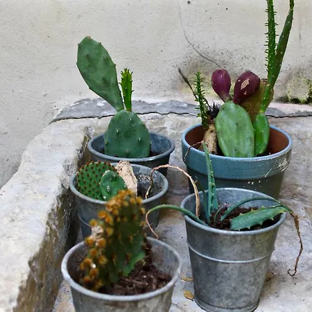 Appartamento Buon Consiglio