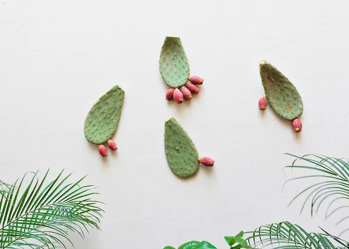 Buon Consiglio Appartement Lecce