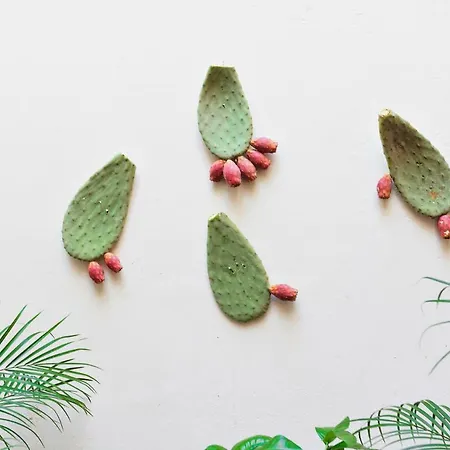 Buon Consiglio Apartment Lecce